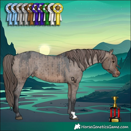 Horse Color:Brown Dun Appaloosa Rabicano Brindle 