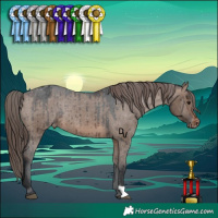 Horse Color:Brown Dun Appaloosa Rabicano Brindle 