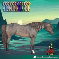 Horse Color:Brown Dun Varnish Rabicano Brindle 