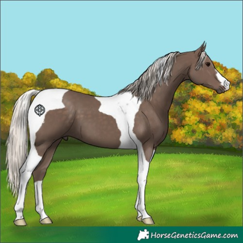 Horse Color:Silver Black Tobiano 