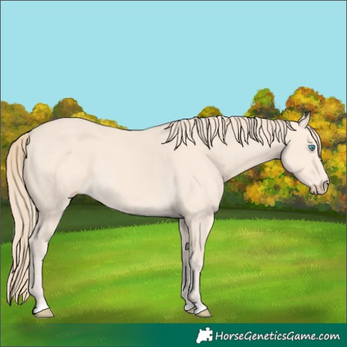 Horse Color:Perlino 