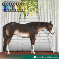 Horse Color:Liver Chestnut 