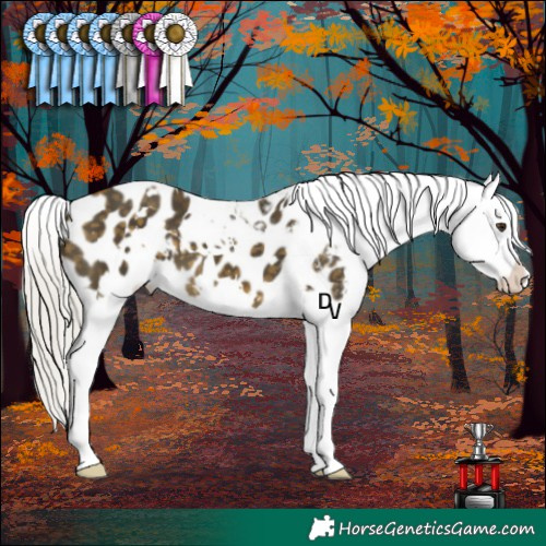 Horse Color:White Spotted Silver Buckskin Mushroom Blanket 