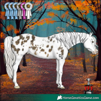 Horse Color:White Spotted Silver Buckskin Mushroom Appaloosa