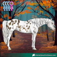 Horse Color:White Spotted Silver Buckskin Mushroom Appaloosa 