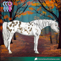 Horse Color:White Spotted Silver Buckskin Mushroom Appaloosa 