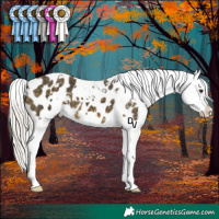 Horse Color:White Spotted Silver Buckskin Mushroom Appaloosa 