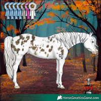 Horse Color:White Spotted Silver Buckskin Mushroom Appaloosa 