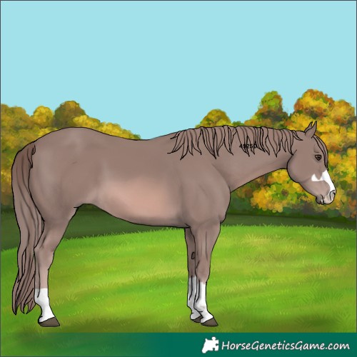 Horse Color:Platinum Chestnut 