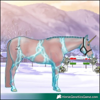 Horse Color:Thunderstruck Buckskin Pearl 