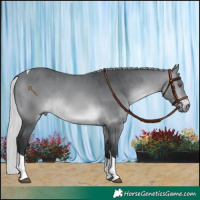 Horse Color:Silver Brown Chinchilla Tobiano Rabicano 