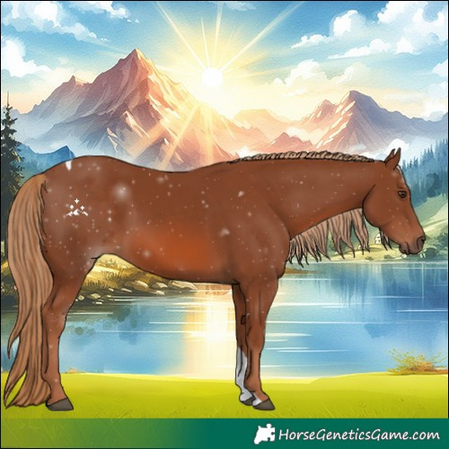 Horse Color:Chestnut Tobiano 