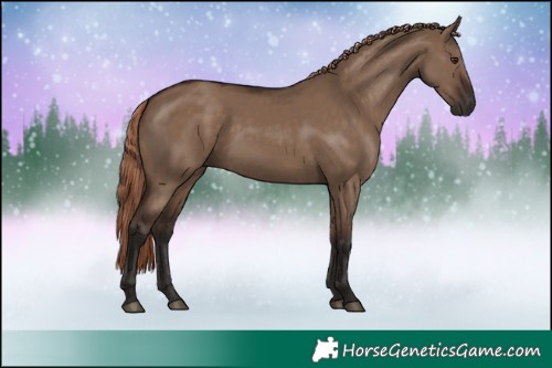 Horse Color:Liver Red Dun Rabicano