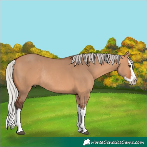 Horse Color:White Spotted Silver Brown Dun Splash Rabicano