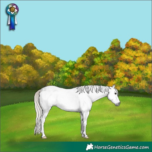 Horse Color:Gray White Spotted Silver Black Frame Rabicano 