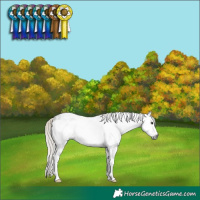 Horse Color:Gray White Spotted Silver Black Frame Rabicano 