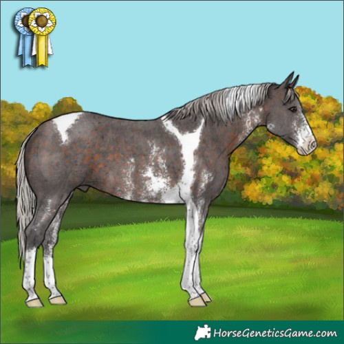 Horse Color:Silver Brown Sabino Tobiano 