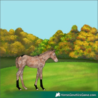 Horse Color:Gray Void Gold Champagne Ice Tobiano 