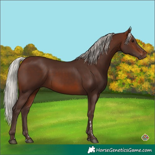 Horse Color:Silver Brown 