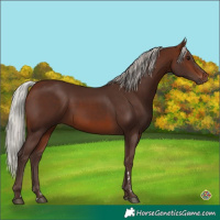 Horse Color:Silver Brown