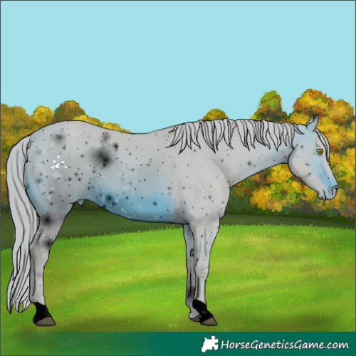 Horse Color:ERROR: UNKNOWN ANOMALY