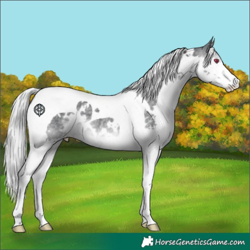 Horse Color:White Spotted Silver Black Chinchilla Mushroom Splash Tobiano 