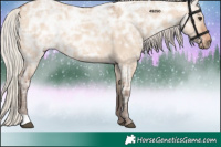 Horse Color:Silver Bay Ice Dun 