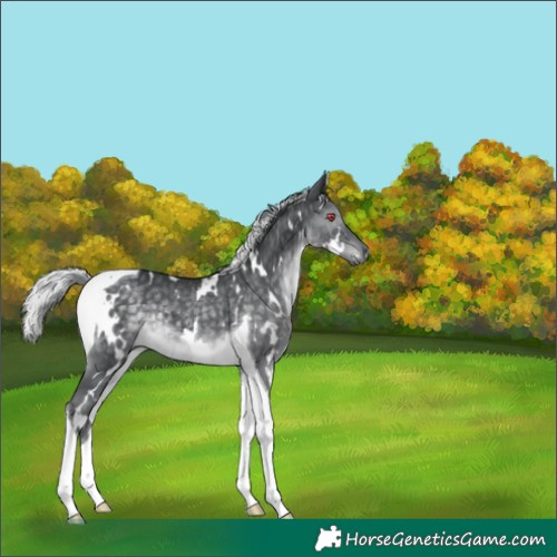 Horse Color:White Spotted Silver Black Chinchilla Mushroom Tobiano 