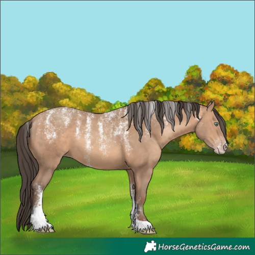 Horse Color:Powder White Amber Champagne 