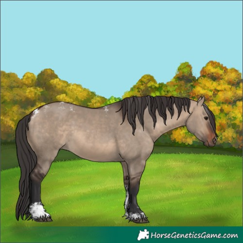 Horse Color:Powder White Brown Dun 