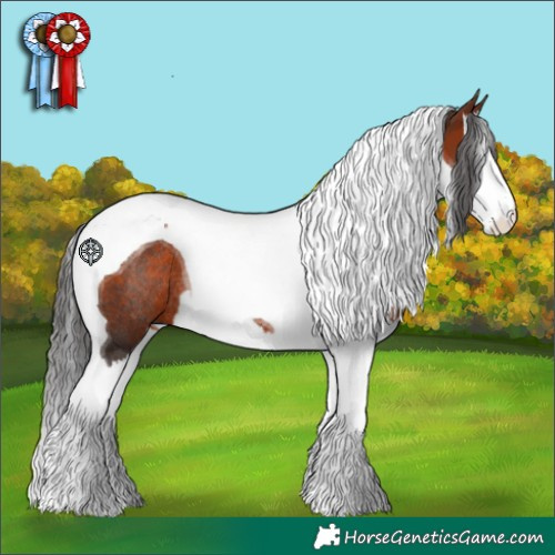 Horse Color:Bay Splash Tobiano Rabicano 