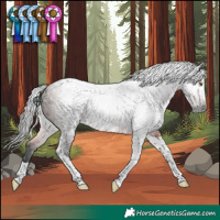 Horse Color:Gray Bay Tobiano Rabicano