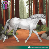 Horse Color:Gray Bay Tobiano Rabicano