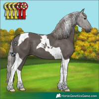 Horse Color:Silver Black Tobiano