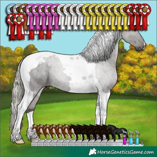 Horse Color:Silver Black Tobiano 