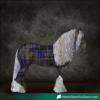 Horse Color:Plaid  Silver Black Ice Tobiano 