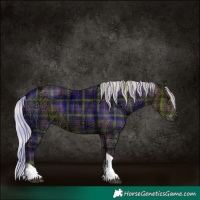 Horse Color:Plaid  Silver Black Ice Tobiano 