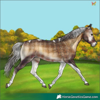 Horse Color:Plaid Silver Brown Onyx Tobiano Rabicano