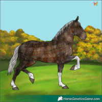 Horse Color:Plaid  Silver Brown Ice Tobiano Rabicano 