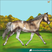 Horse Color:Plaid  White Spotted Liver Red Onyx 