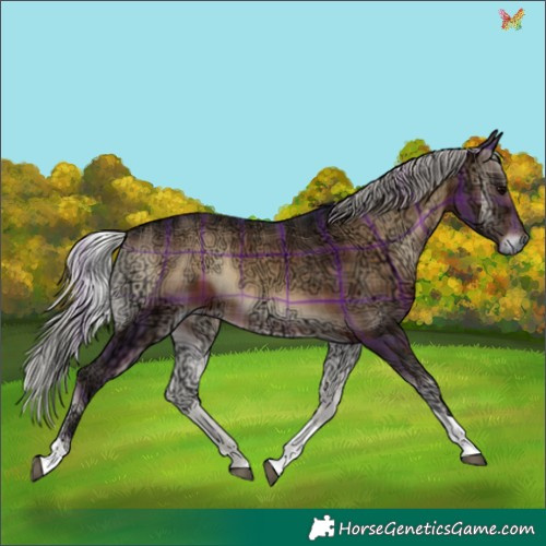 Horse Color:Plaid  Silver Bay Ice Onyx Tobiano 