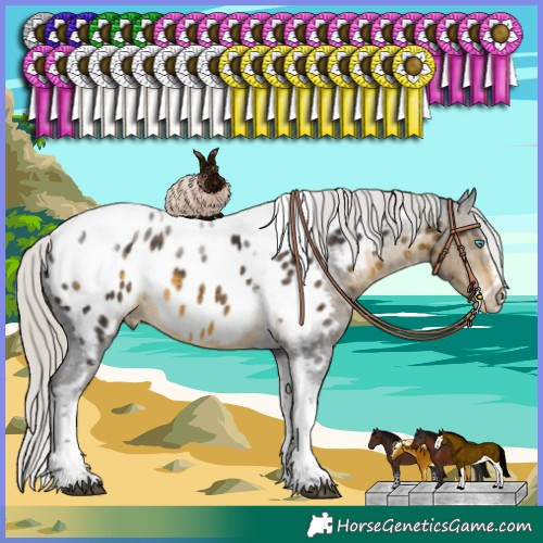 Horse Color:White Spotted Silver Buckskin Splash Tobiano Frame Near Leopard Rabicano