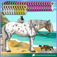 Horse Color:White Spotted Silver Buckskin Splash Tobiano Frame Appaloosa Rabicano 