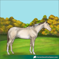 Horse Color:Smoky Grullo Pearl Tobiano