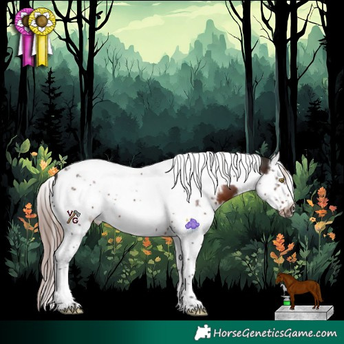 Horse Color:White Spotted Liver Chestnut Splash Tobiano Frame 