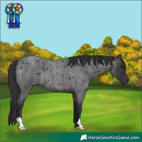 Horse Color:Brown Roan