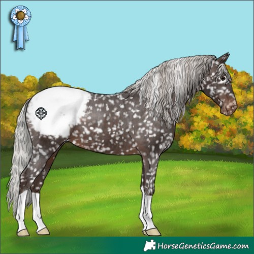 Horse Color:Silver Brown Snowcap 