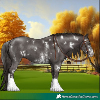 Horse Color:White Spotted Liver Chestnut Sabino 