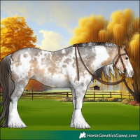 Horse Color:White Spotted Buckskin Sabino 