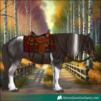 Horse Color:Liver Chestnut Tobiano 